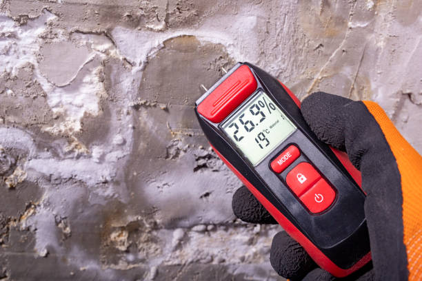 Best Insurance-Related Mold Remediation in Decatur, TX