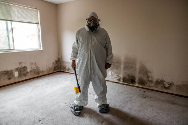 Best Bathroom Mold Remediation in Decatur, TX